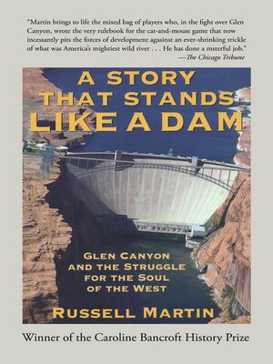 cover image of A Story that Stands Like a Dam